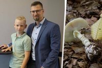 Houbaři, pozor na záměnu: »Klobouk smrti« ohrozil život chlapce