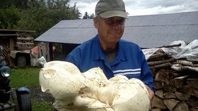 Jaroslav Kochánek s vatovcem, který je podle mykologů, co se velikosti týká, unikátní.