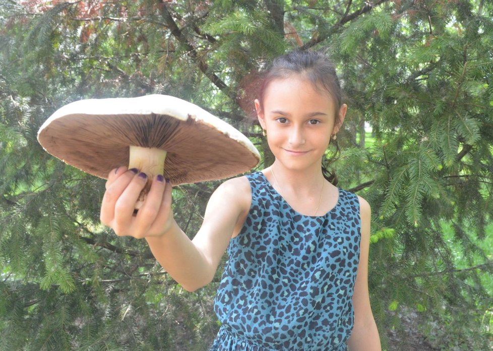 Na houby nemusela vyrážet do lesa Andrejka (9) z Hradce Králové. Obrovský žampion našla na zahradě.
