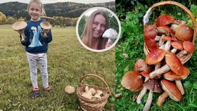 Listopadové houbobraní, radují se Češi! Mykoložka má dobrou zprávu 
