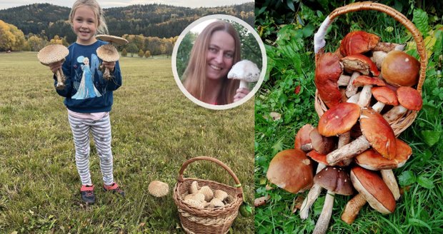 Listopadové houbobraní, radují se Češi! Mykoložka má dobrou zprávu 
