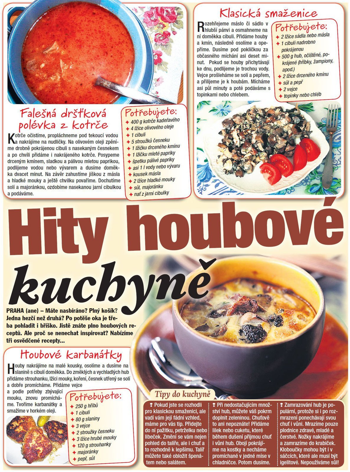 Hity houbové kuchyně