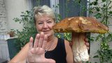 Helena (66) z Brna našla obří hřib a přidala recept na houbovou pochoutku!