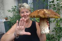 Helena (66) z Brna našla obří hřib a přidala recept na houbovou pochoutku!