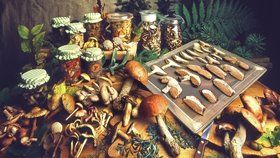 Máme pro vás pár tipů, díky nimž si budete voňavé houby užívat až do příštího jara.