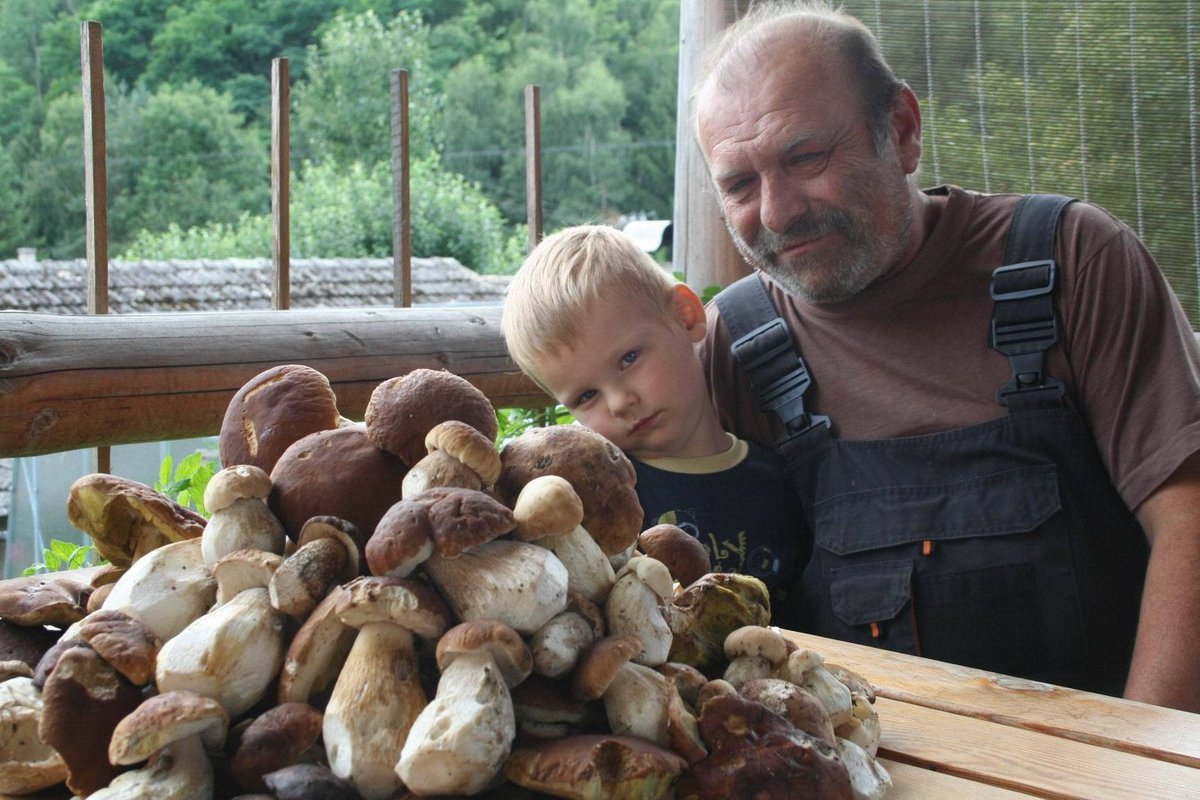 Pavel Polomis se na houby vydal s vnukem Románkem. Našli kopu praváků.