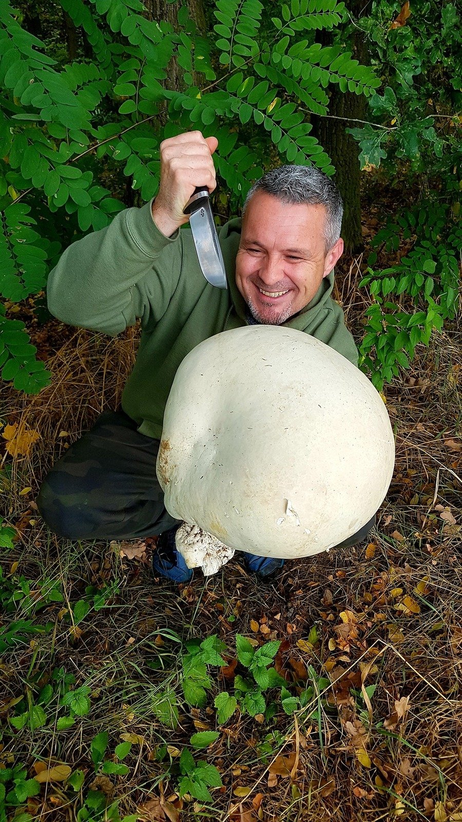 Houbař Radek Touš (40) z Kladna zaznamenal kapitální úlovek – gigantického vatovce!