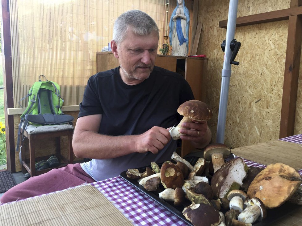 Také Lubomíru Samkovi se zadařilo. Ten nasbíral tento úlovek hned za chalupou v Horách Matky Boží na Šumavě.