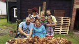 Velká houbová sklizeň: Nasbírali 390 hřibů za 3 hodiny! Rodina z Českolipska vybrakovala les