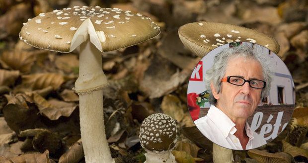 Otrav houbami bude přibývat, soudí přední toxikolog RNDr. Jaroslav Klán
