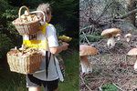 Mike Koukal si na houby vyrobil originální nosítko.