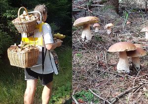 Mike Koukal si na houby vyrobil originální nosítko.