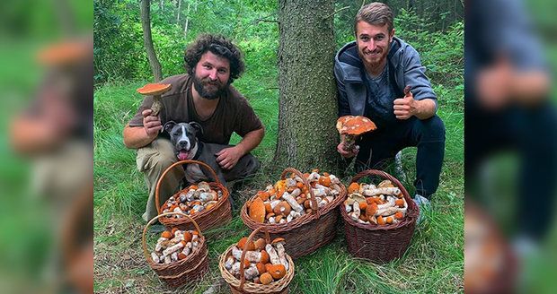 Fotka, která „nadzvedla“ tisíce houbařů! Jiří s Dominikem našli 700 křemenáčů!