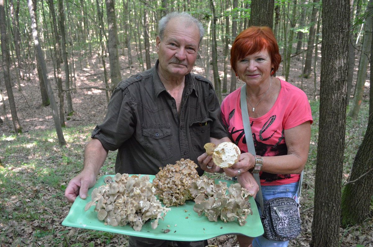 Za půl hodiny přesto odcházeli z lesa téměř s plným tácem vonících úlovků.