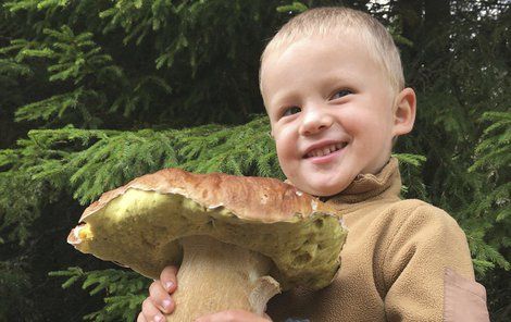 KVILDA Parádního hřiba našel teprve tříletý Vítek Szotkowski z Prahy. Lidé před ním si hu přímo u cesty nevšimli.