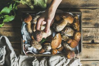 Jak zpracovat houby: Jak je sušit, zamrazit a co uvařit, když přinesete plný košík