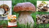 8 tipů: Jak co nejlépe zpracovat houby!