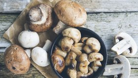 Poznáte, které houby jsou nejedlé?