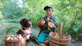 Václav Majkus (8) z Nového Jičína se učí poznávat houby od tří let. Sbírat umí!