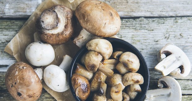 Poznáte, které houby jsou nejedlé?
