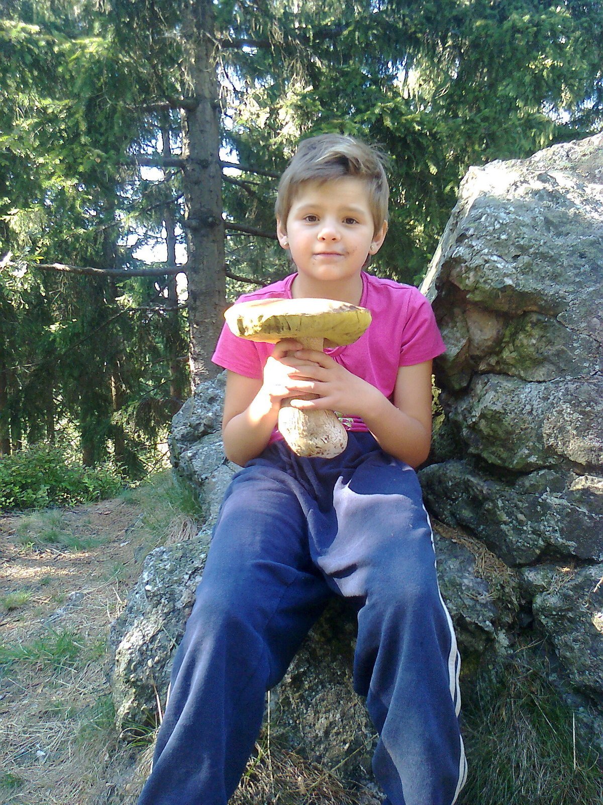Hříbek krasavec  Zdeněk Voborník vyfotil dceru Natálku s největším hříbkem, který v lese našli. „Šli jsme jen na procházku a našli jsme celkem padesát hříbků,“ dodává pan Zdeněk.