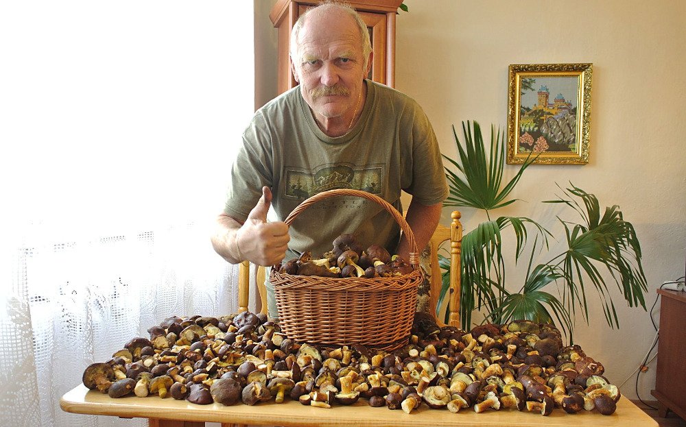 Bez fotoaparátu, zato s několika košíky vyrazil do lesa na Plzeňsku čtenář Aha! Jiří Vrajík. Svůj úlovek vyskládal doma na stůl, všechny kousky se mu tam ani nevešly.