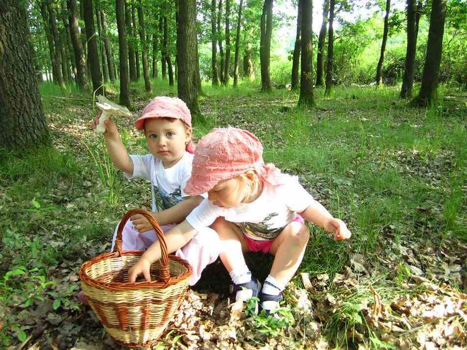 Blansko - Nejmladší houbařky našly chutné holubinky.