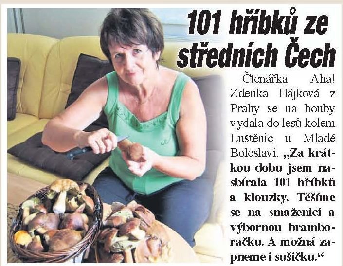 101 hříbků ze středních Čech