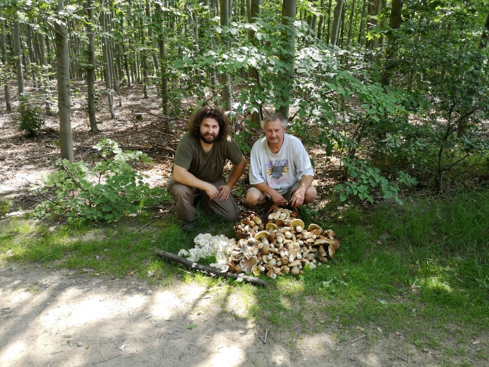 Na houby do lesů u Vlašimi se vydal zkušený houbař Jiří Dubec se svým otcem Jaroslavem.