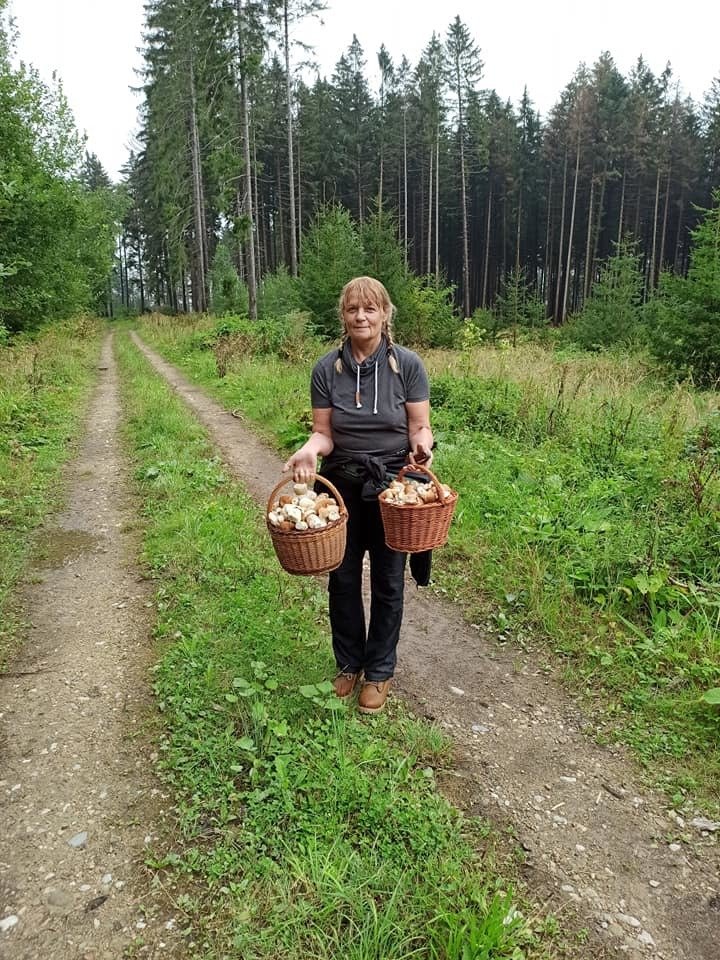 Jana Ludvíčková houbaří kolem Vysokého Mýta.