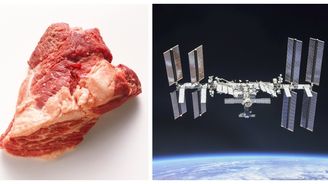 Hovězí „vytištěné“ ve vesmíru: Astronauti si dokázali maso sami vypěstovat na stanici ISS