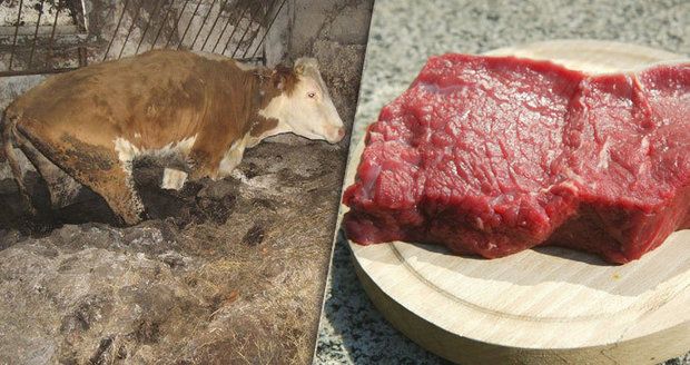 „Nemocný steak“ z Polska: Takto se mohl dostat i k vám na talíř