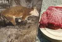 „Nemocný steak“ z Polska: Takto se mohl dostat i k vám na talíř