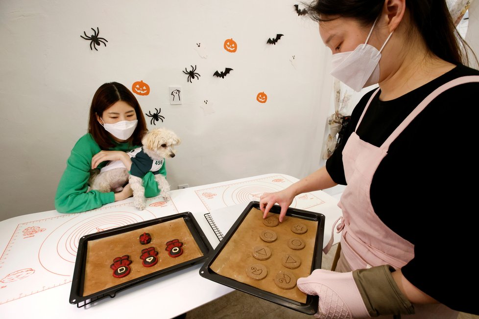 Přípravy na jihokorejský halloween: Psí sušenky ve tvarech inspirovaných seriálem Hra na oliheň