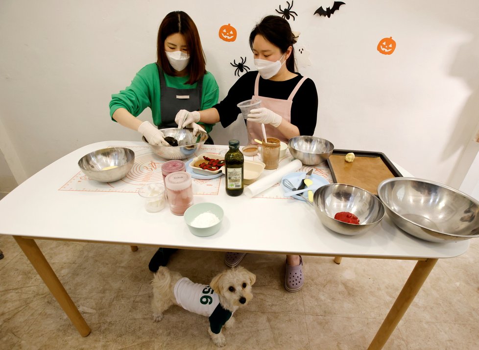 Přípravy na jihokorejský halloween: Psí sušenky ve tvarech inspirovaných seriálem Hra na oliheň