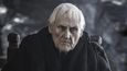 Mistr Aemon. Člen rodu Targaryenů, prastrýc Daenerys (strýc Šíleného krále)