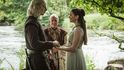 Rhaegar Targaryen a Lyanna Stark - rodiče Jona/Aegona