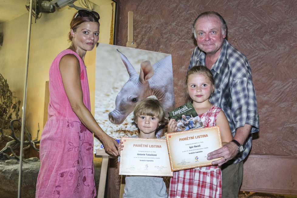 V Zoo Praha proběhly křtiny mláděte hrabáče kapského, které se narodilo 22. dubna.