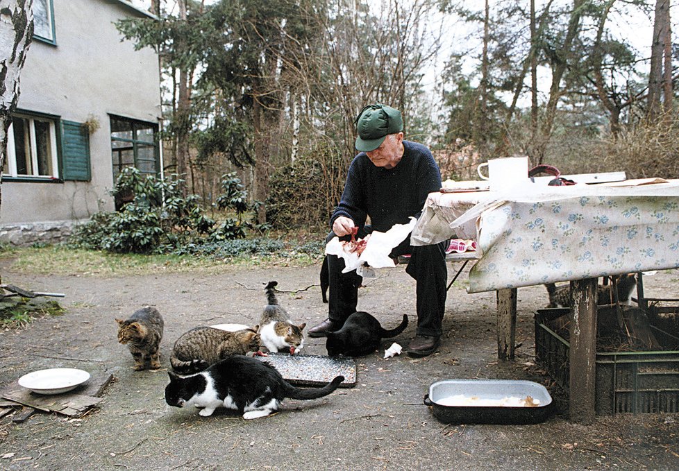 Kočky Hrabalovi dělaly společnost hlavně po smrti Pipsy, kdy byl v Kersku téměř denně.