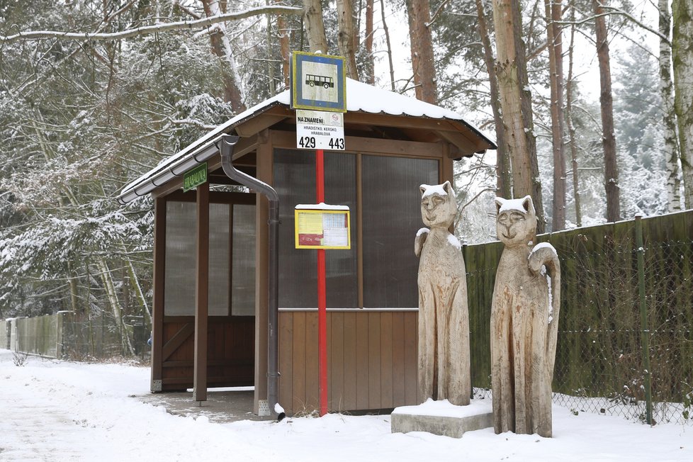 Kersko je dodnes koček plné - živých, dřevěných i keramických. Připomínají slavného obyvatele.