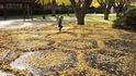 Američanka Joanna Hendricková vytváří umění z listí.