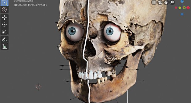 Ženská mumie s mužskou hlavou: Zmatek v kryptě