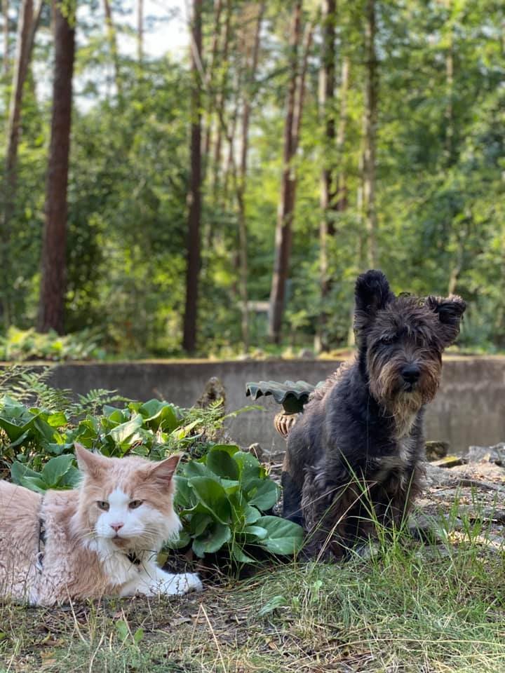 Kaira miluje zvířata - Felix a Punťa.