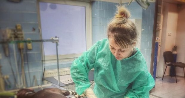 Kaira Hrachovcová se starala o pejska po operaci.