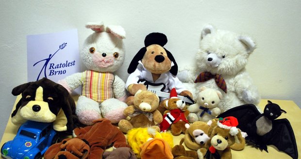 Tyto hračky celebrit můžou v dobročinné aukci pomoci znevýhodněným dětem. Většinu věnovala Iva Bittová, psa s kytarou poskytl Roman Vojtek.
