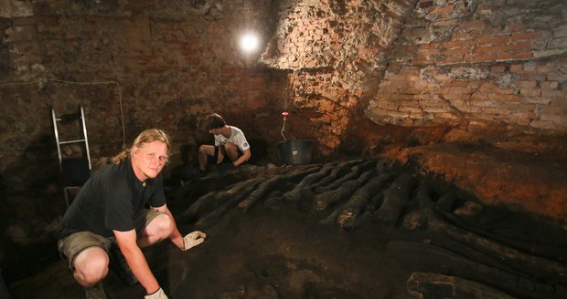 Archeologové z Archaia Brno a Městského muzea a galerie v Břeclavi našli pod břeclavským zámkem tisíc let staré dřevěné základy.