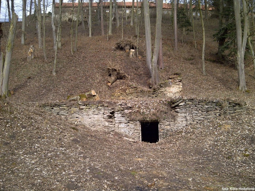 Zřícenina poustevny v přilehlém parku hradu Pernštejn, i ta by se měla zřejmě dočkat obnovy.