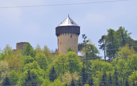 Hartenštejn je podle odborníků vrcholnou stavbou velmi promyšleného dělostřeleckého systému s bateriovými věžemi. 