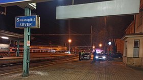 Dospělý muž měl na nádraží v Hradci Králové ubodat dítě.