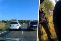 Po týdnu na svobodě recidivista znovu řádil: Ujížděl policistům bez řidičáku v kradeném autě